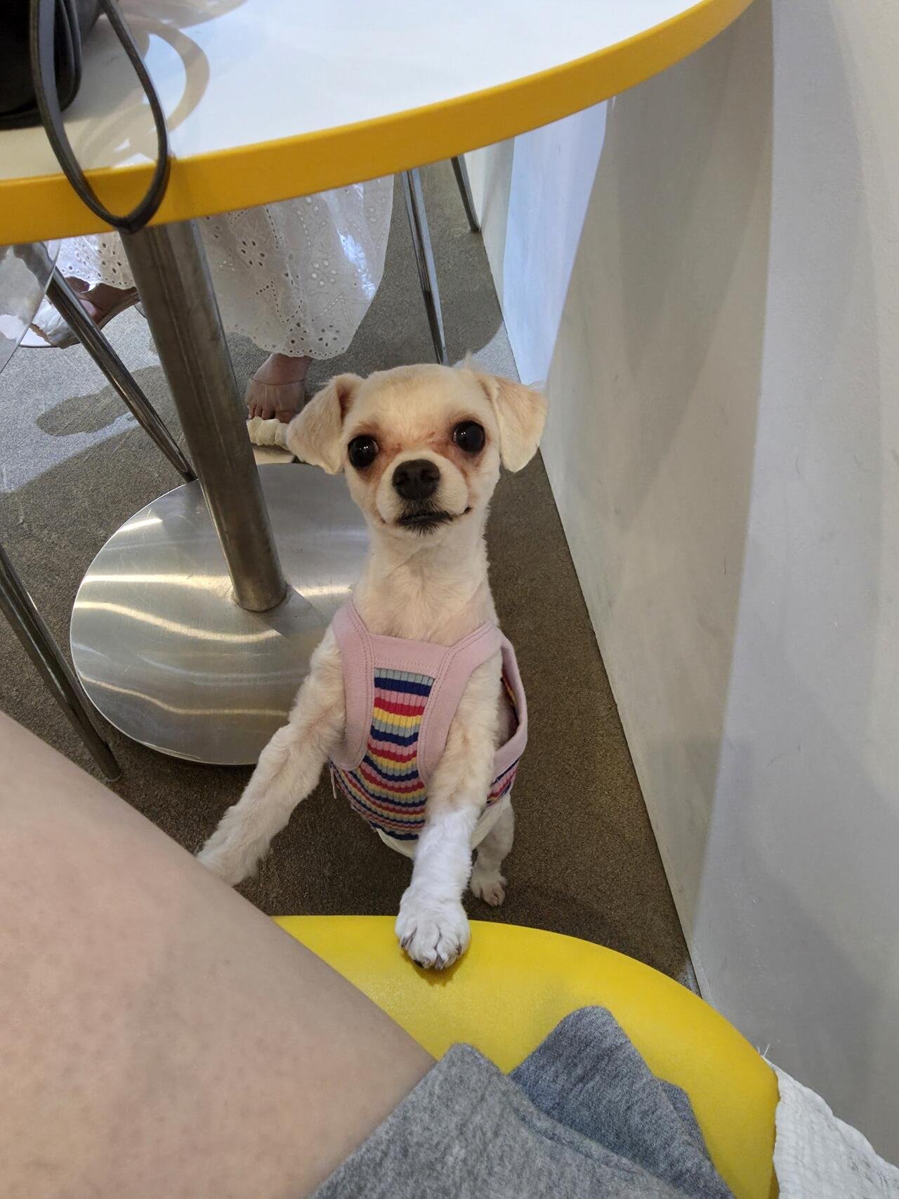 털 민 기념