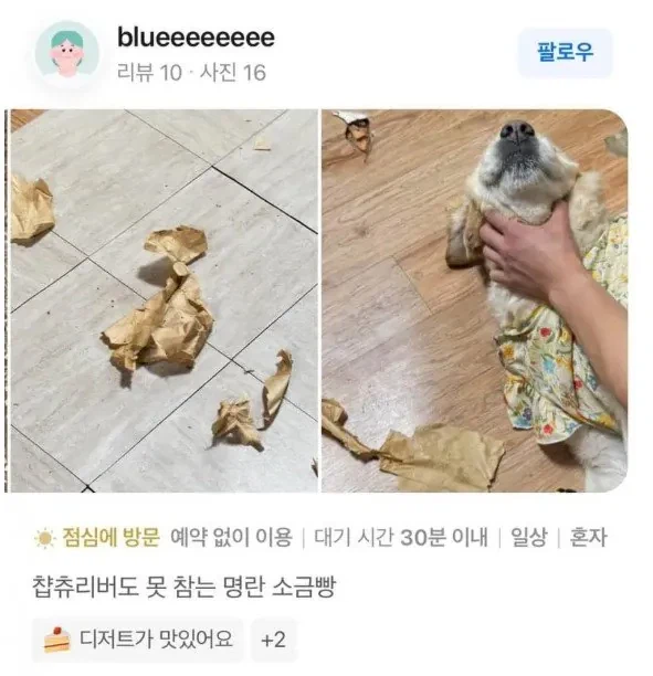 역동적인 명란 소금빵 후기