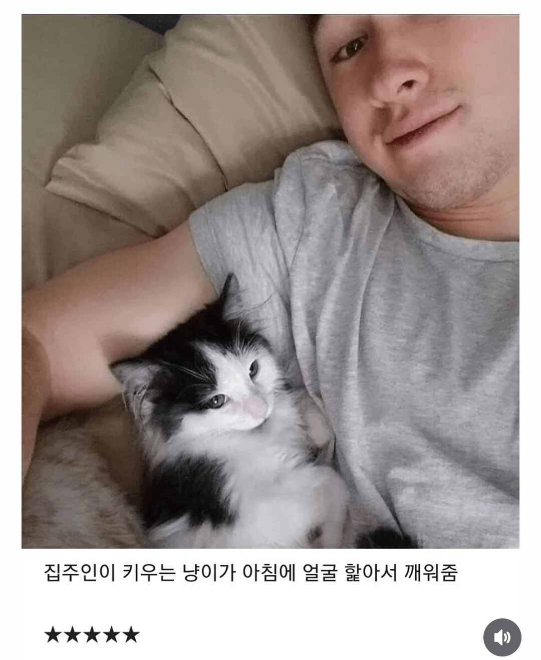 숙소 별점 5점 준 이유..