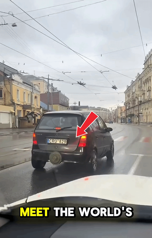 초보운전 스티커보다 효과 좋은 것 